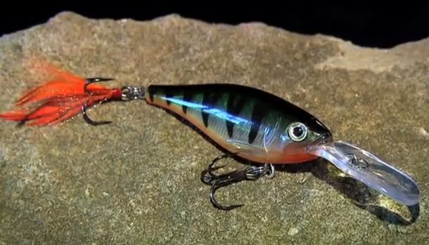 VIDEO: How to use – Rapala X-Rap Shad